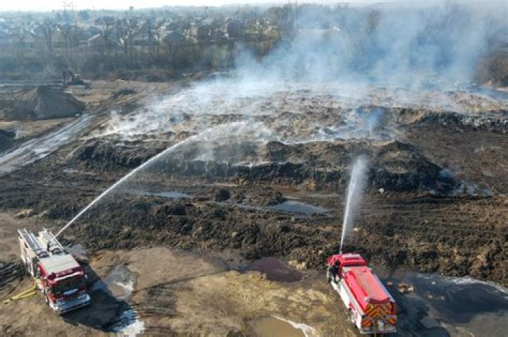 Endangered Tiger Cubs Debut at San Diego Zoo |