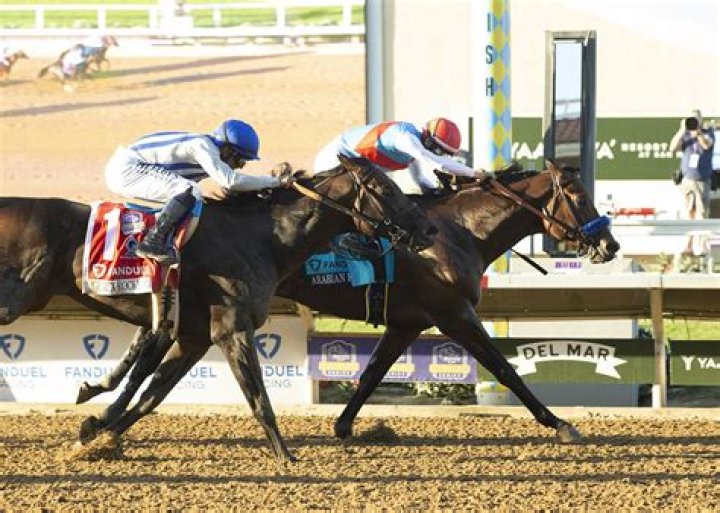 Arabian Knight wins $1M Pacific Classic for trainer Bob Baffert and earns Breeders' Cup berth