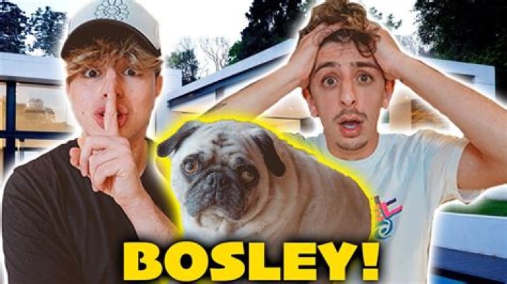 Bosley Death, FaZe Rug’s Dog ‘Bosley the Pug’ Dies, American YouTuber Mourns