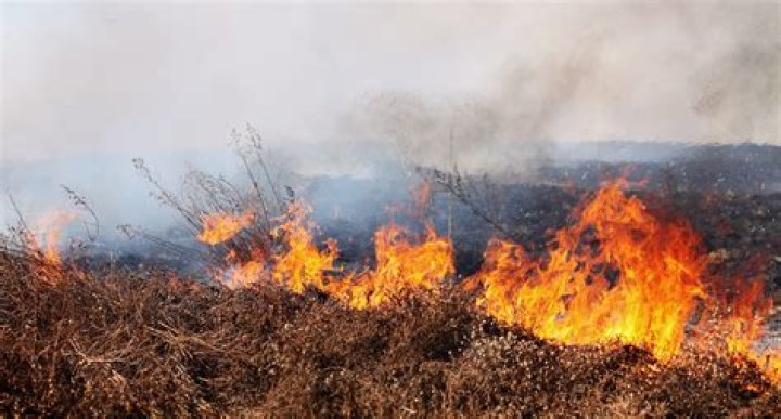 Brush fire burns 1 acre on Molokai | News, Sports, Jobs