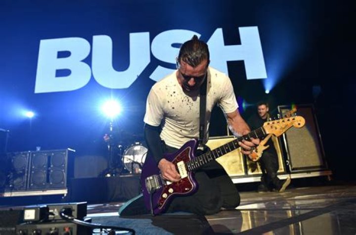 Gavin Rossdale celebrates 3 decades of Bush songs with a greatest hits album, 'Loaded'