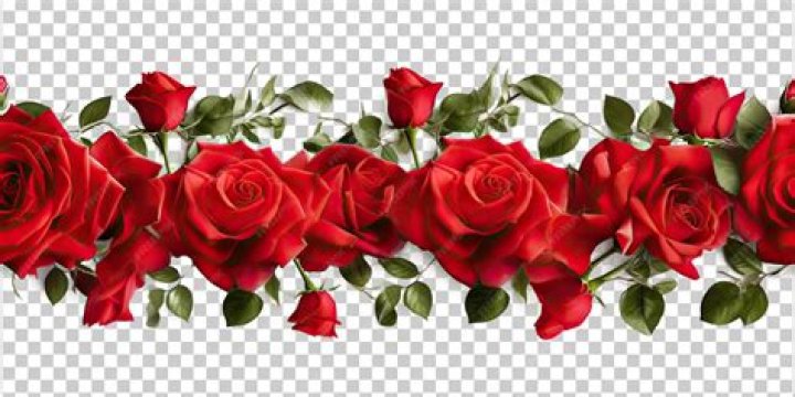 M-4 Appliance Repair | appliance repair | dishwasher repair | Reno, NV