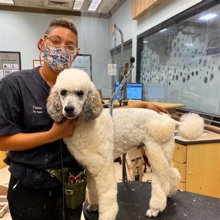 Clarissa Soergel Obituary Mars PA, Pet Stylist at PetSmart Has Died