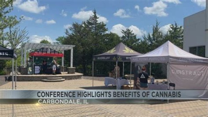 Conference highlights benefits of cannabis | News, Sports, Jobs