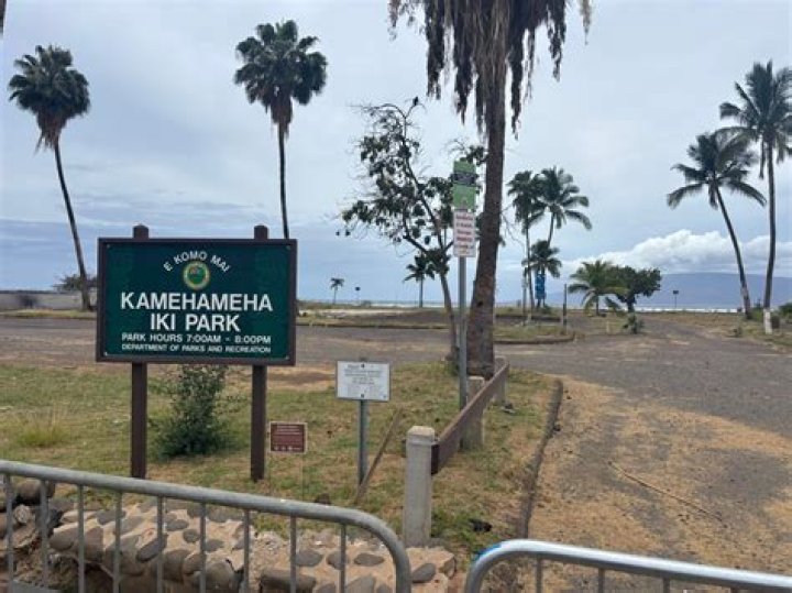 County looks to cut permitted business at Kamehameha Iki Park | News, Sports, Jobs
