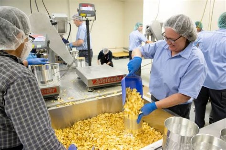 A look at how the Church’s wheat supply is providing food for humanitarian efforts and home storage