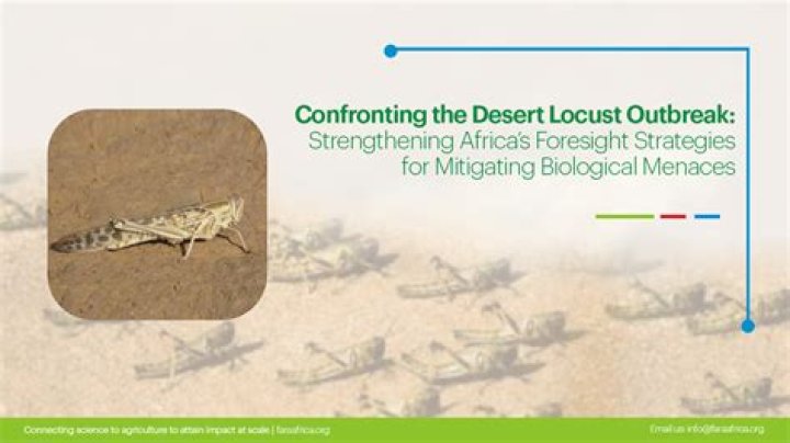 Erratic weather fueled by climate change will worsen locust outbreaks, study finds