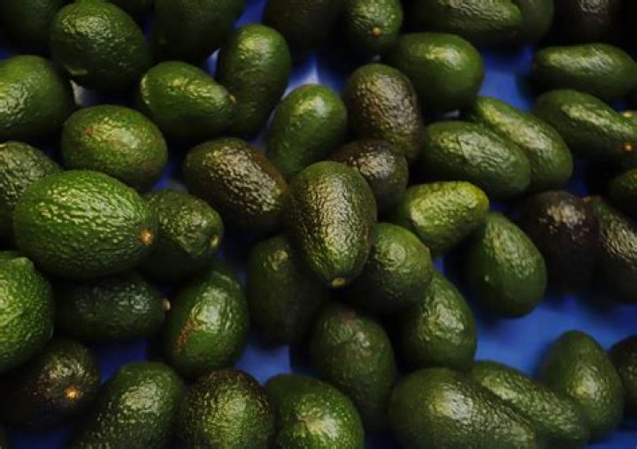 Posts misrepresent safety of produce-protecting solution from Apeel