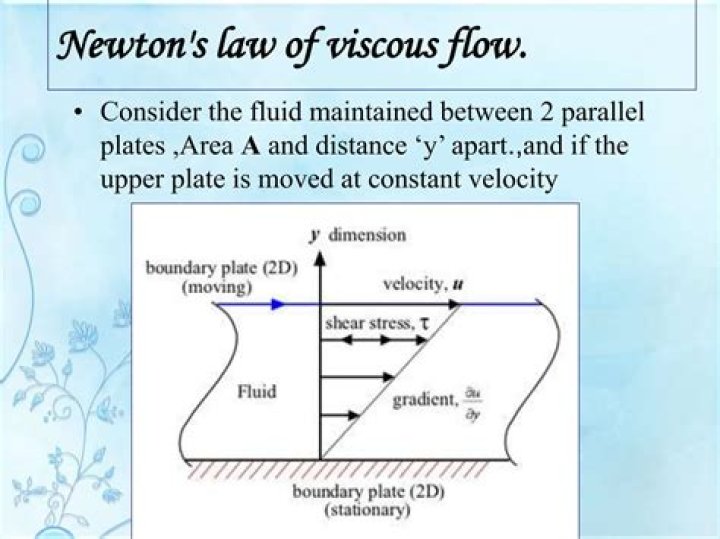 Fluid fun in Wailea | News, Sports, Jobs