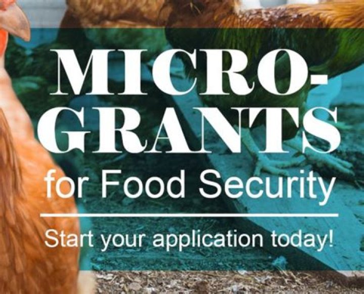 Food security program micro-grants available from Hawaii Department of Agriculture | News, Sports, Jobs
