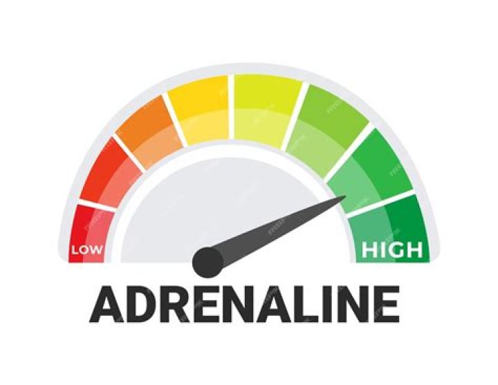 High on adrenaline | News, Sports, Jobs