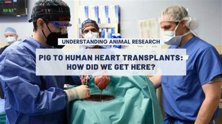 In first, US doctors transplant pig heart into human