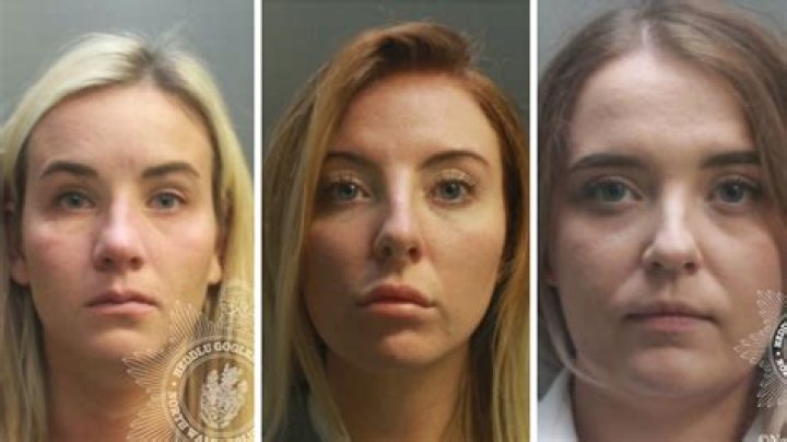 Man who allegedly sold pāua on social media arrested