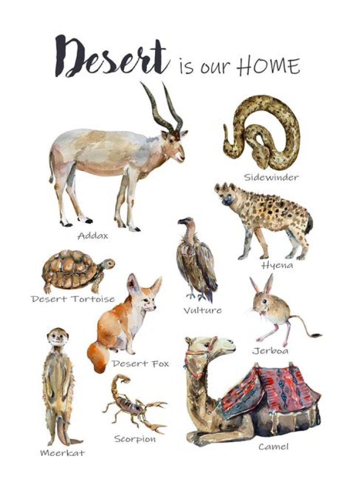 New home for Deseret Book