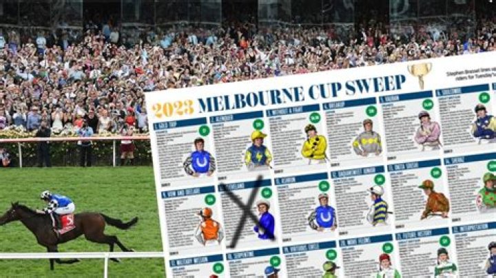 PM pulls horse for Melbourne Cup sweepstake