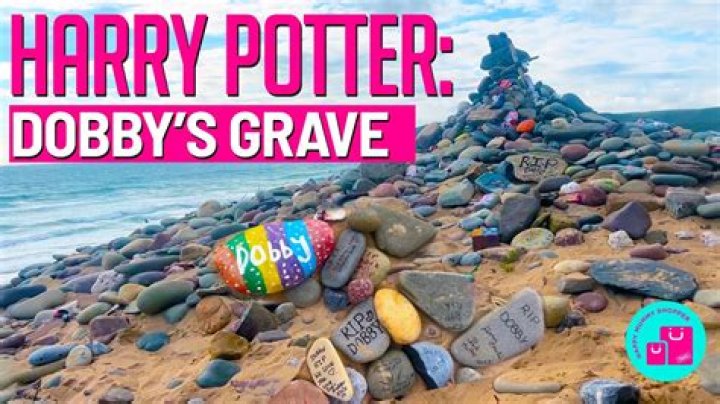 Potterheads asked to stop leaving socks at Dobby's grave