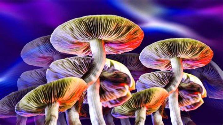 California Gov. Gavin Newsom vetoes bill that would have decriminalized psychedelic mushrooms