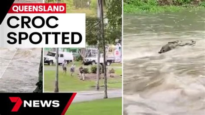 Saltwater crocodile rides floodwaters into Queensland township