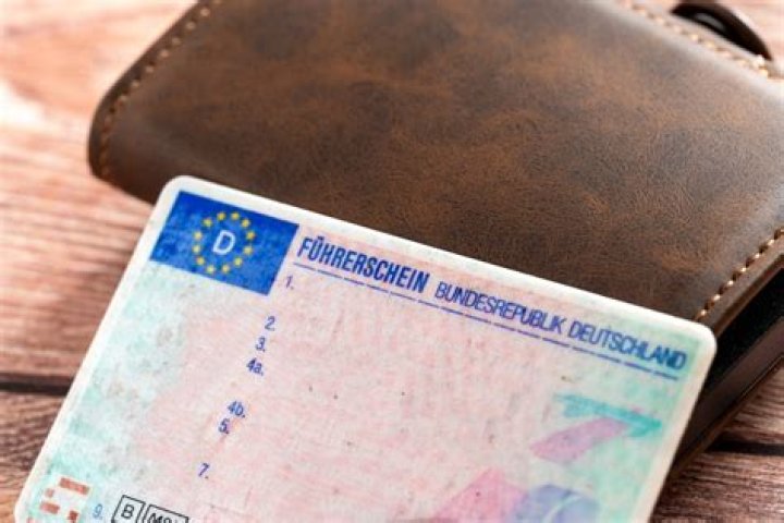 Tree Damage in City of Reno | Video