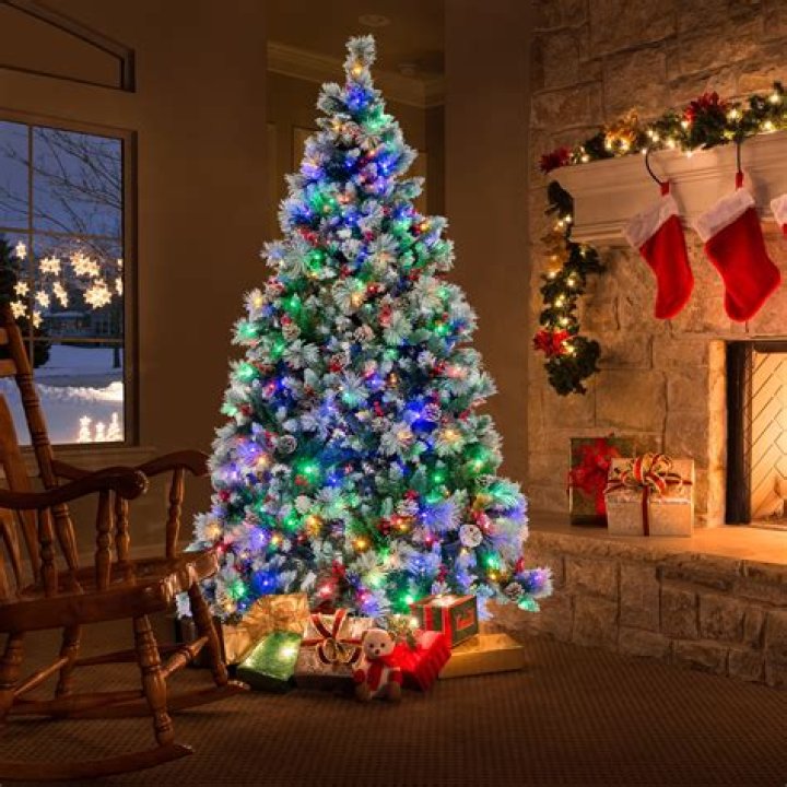 Walmart to begin Christmas trees sales | News, Sports, Jobs