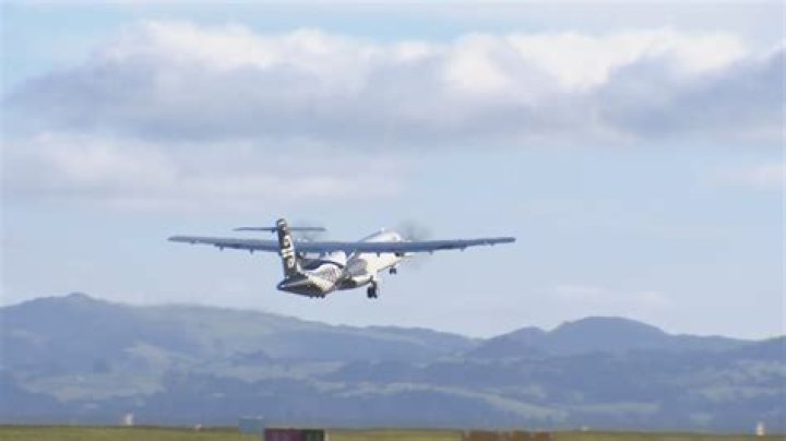 Why are domestic flights so expensive in New Zealand?