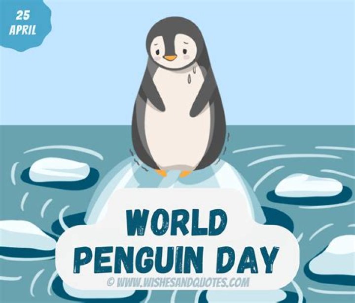 World Penguin Day celebrated | News, Sports, Jobs