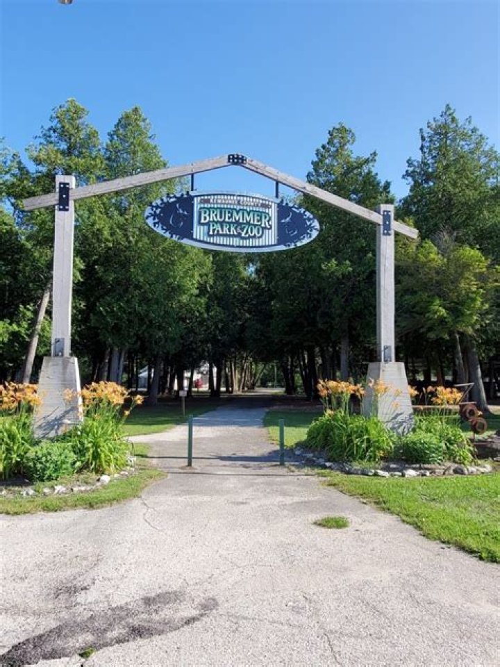 Zowie Dellemann Obituary, Kewaunee Wisconsin, Zowie Dellemann Has Passed Away